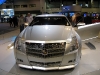 chicago-auto-show-2008-2.JPG