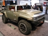 chicago-auto-show-2008-5.JPG